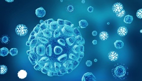 慢病毒整合穩(wěn)定細(xì)胞株